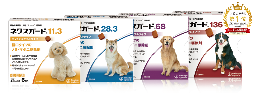 犬　ちょちょブログ　ノミダニ予防　ネクスガード　通販
