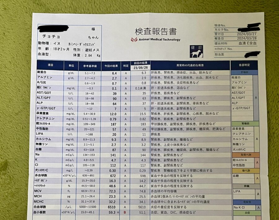 犬　ちょちょブログ　ダックスフンド　ダックスフント　アンチノール　ベッツペッツ　関節　皮膚　腎臓　心血管　神経　認知機能　サプリメント