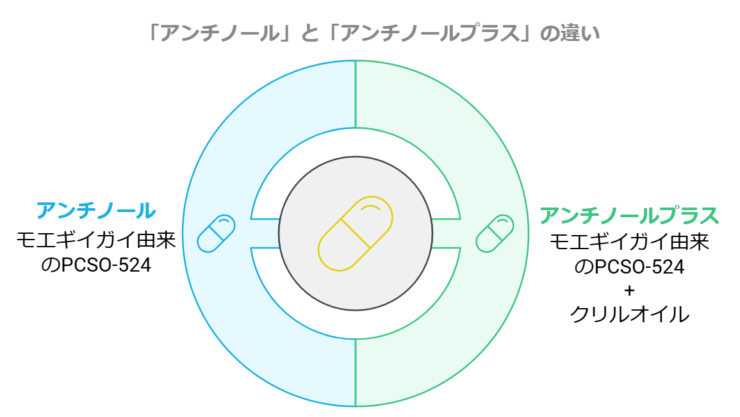 犬　ちょちょブログ　ダックスフンド　ダックスフント　アンチノール　ベッツペッツ　関節　皮膚　腎臓　心血管　神経　認知機能　サプリメント