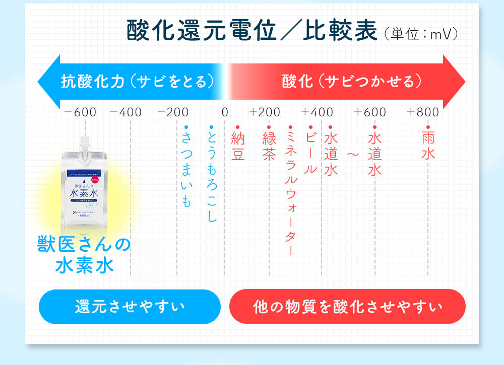 犬　ちょちょブログ　ダックスフンド　ダックスフント　水素水　腎臓　ペット用水素水　H4Oペットウォーター　獣医さんの水素水