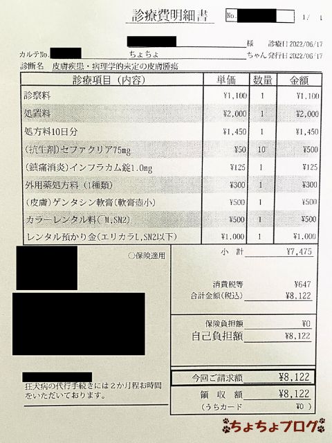 犬　ちょちょブログ　ダックスフンド　ダックスフント　表皮嚢胞　粉瘤　潰れた　放置