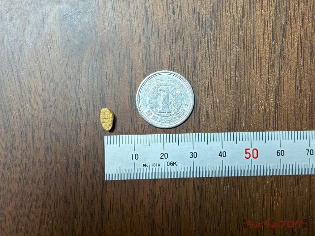 犬 ちょちょブログ ダックスフンド ダックスフント 腎臓 腎嚢胞 療法食 ヤムヤムヤム yamyamyam