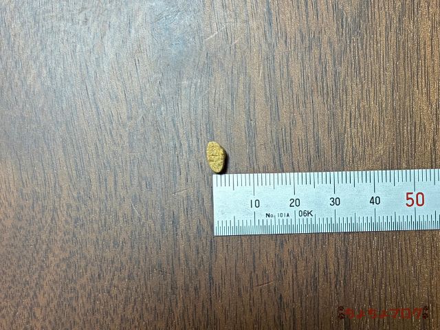 犬 ちょちょブログ ダックスフンド ダックスフント 腎臓 腎嚢胞 療法食 ヤムヤムヤム yamyamyam