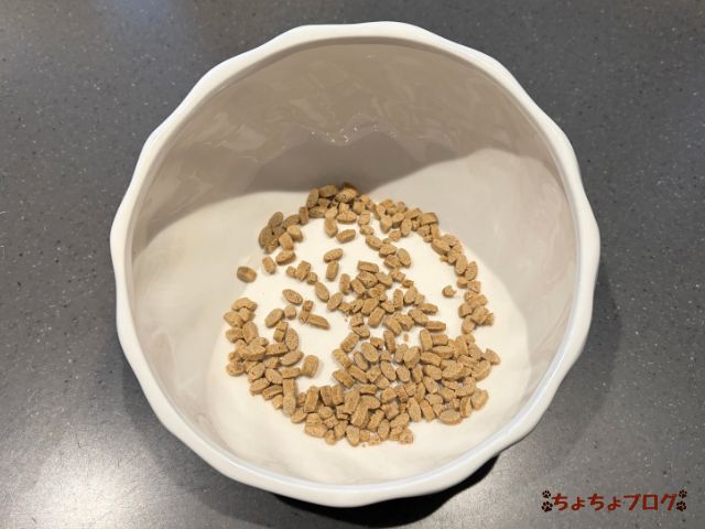 犬 ちょちょブログ ダックスフンド ダックスフント 腎臓 腎嚢胞 療法食 ヤムヤムヤム yamyamyam