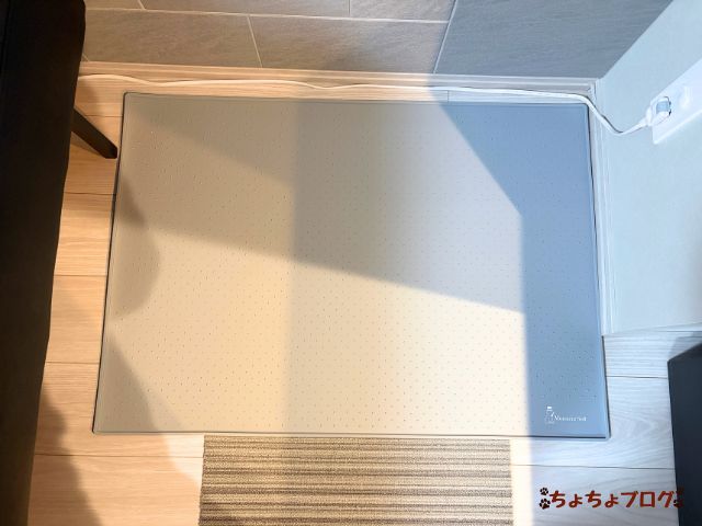 犬 ちょちょブログ ダックスフンド ダックスフント 老犬 シニア犬 トイレ 滑る 滑らない 足腰 優しい 安全 ヘルニア 踏ん張れない 滑り止め シリコントレー ムッシュソフト Monsieur Soft