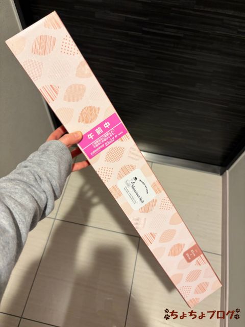 犬 ちょちょブログ ダックスフンド ダックスフント 老犬 シニア犬 トイレ 滑る 滑らない 足腰 優しい 安全 ヘルニア 踏ん張れない 滑り止め シリコントレー ムッシュソフト Monsieur Soft