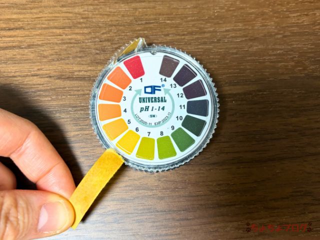 犬 ちょちょブログ ダックスフンド ダックスフント 腎臓 腎嚢胞 療法食 ヤムヤムヤム yamyamyam