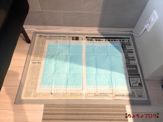 犬 ちょちょブログ ダックスフンド ダックスフント 老犬 シニア犬 トイレ 滑る 滑らない 足腰 優しい 安全 ヘルニア 踏ん張れない 滑り止め シリコントレー ムッシュソフト Monsieur Soft