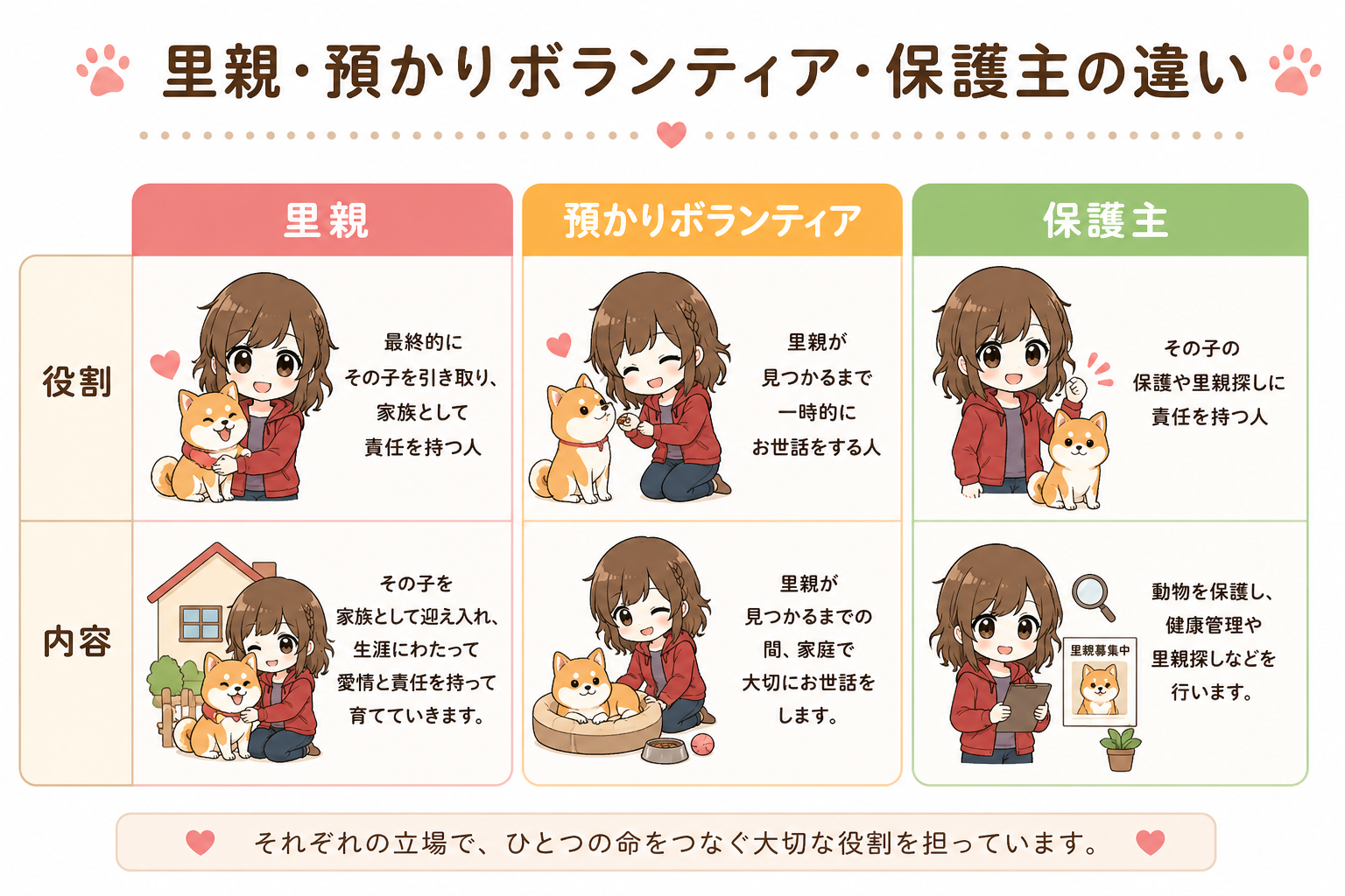 犬　ちょちょブログ　ダックスフンド　ダックスフント　猫　里親　保護犬　保護猫　初心者