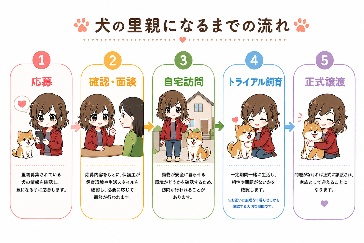 犬　ちょちょブログ　ダックスフンド　ダックスフント　猫　里親　保護犬　保護猫　初心者